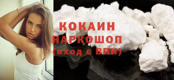 молекула духа Новозыбков