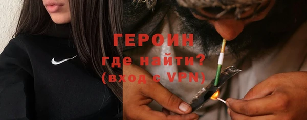 молекула духа Новозыбков