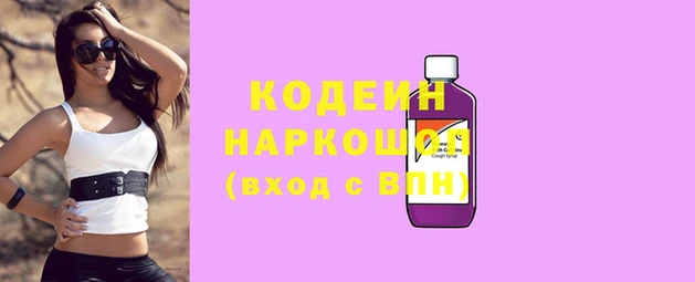 гашик Няндома