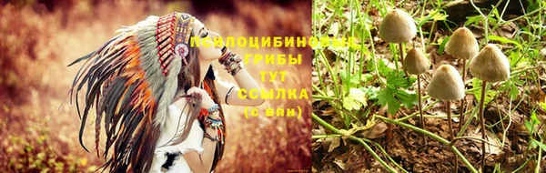 гашик Няндома