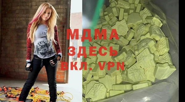 молекула духа Новозыбков