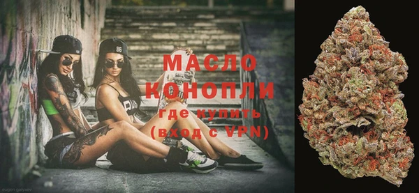 молекула духа Новозыбков