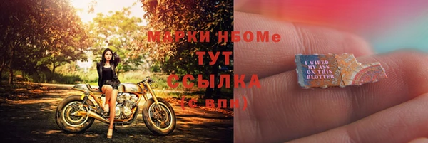 молекула духа Новозыбков