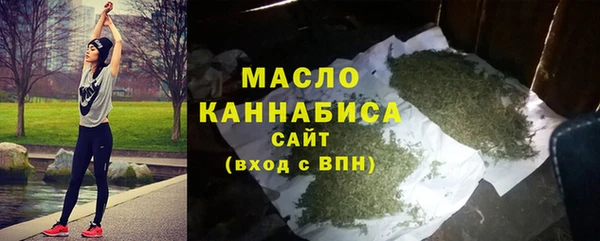 гашик Няндома