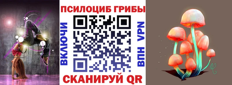Псилоцибиновые грибы Cubensis  Петушки 